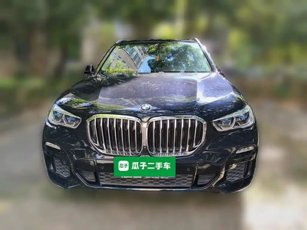 BMW X5 (Import) — миниатюра 3