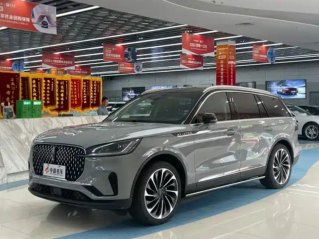 LINCOLN FLYING HOME 2024