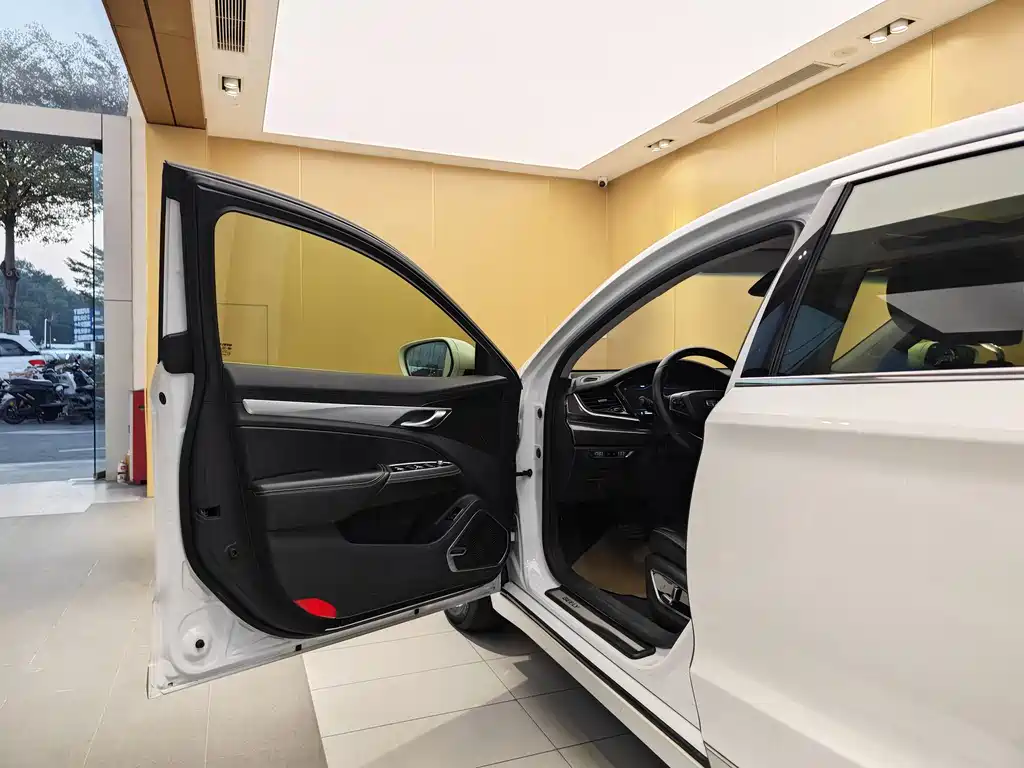 GEELY AUTOMOBILE BORUI