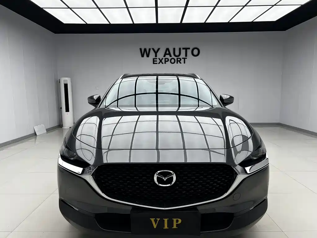 Mazda CX-30 2021 2.0L AT