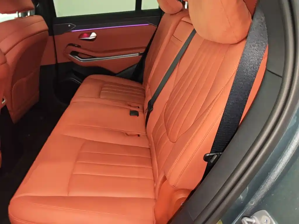 BYD Дон Л. — миниатюра 17
