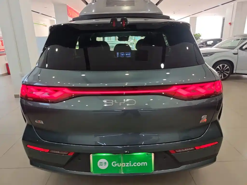 BYD Дон Л. — миниатюра 6