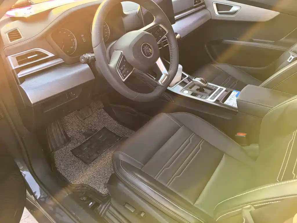 BYD Qin NEV 2019 Luxury