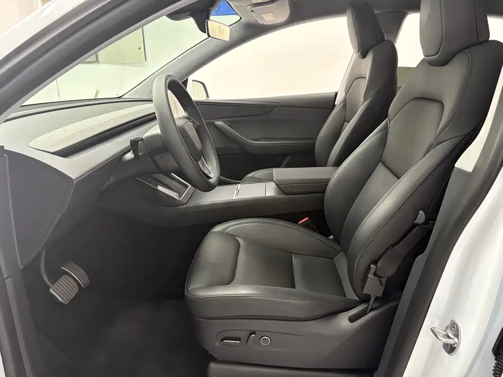 Tesla Model Y — миниатюра 7