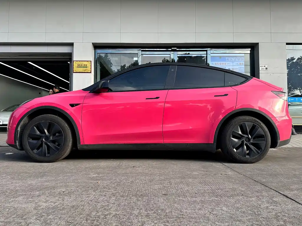 Tesla Model Y — миниатюра 2