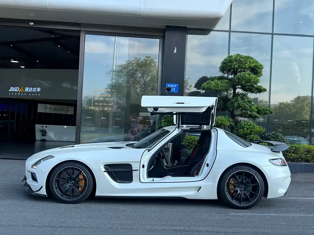 Mercedes-Benz SLS AMG SLS AMG Black Series, фото 3