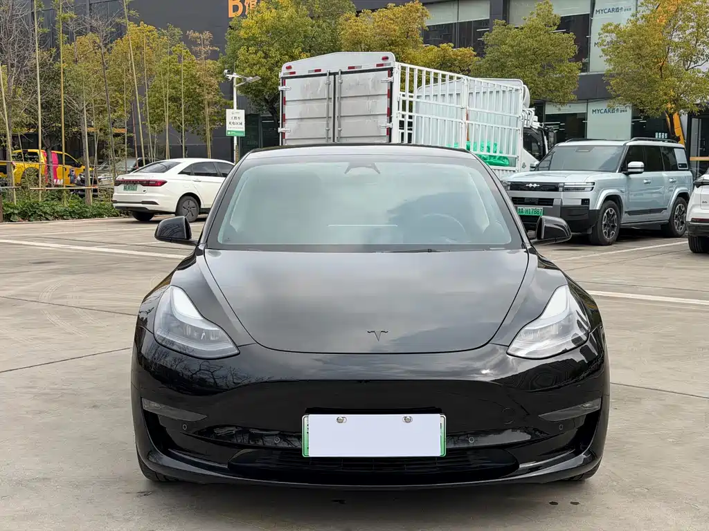 Tesla Model 3 — миниатюра 2