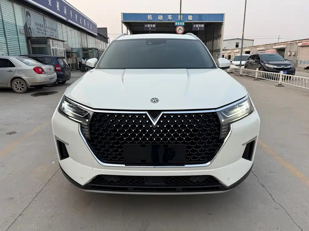 Venucia Star 2022