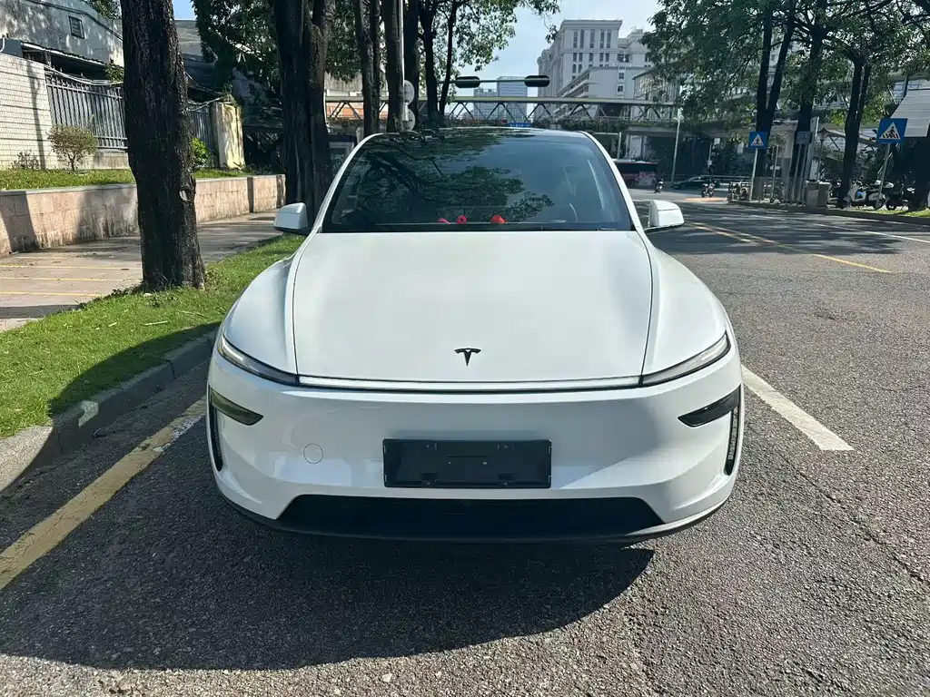Tesla Model Y — миниатюра 2