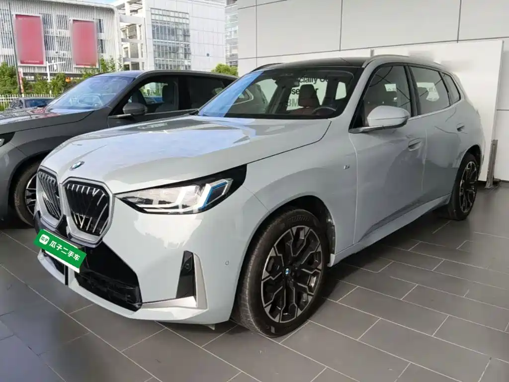 BMW X3 — миниатюра 2