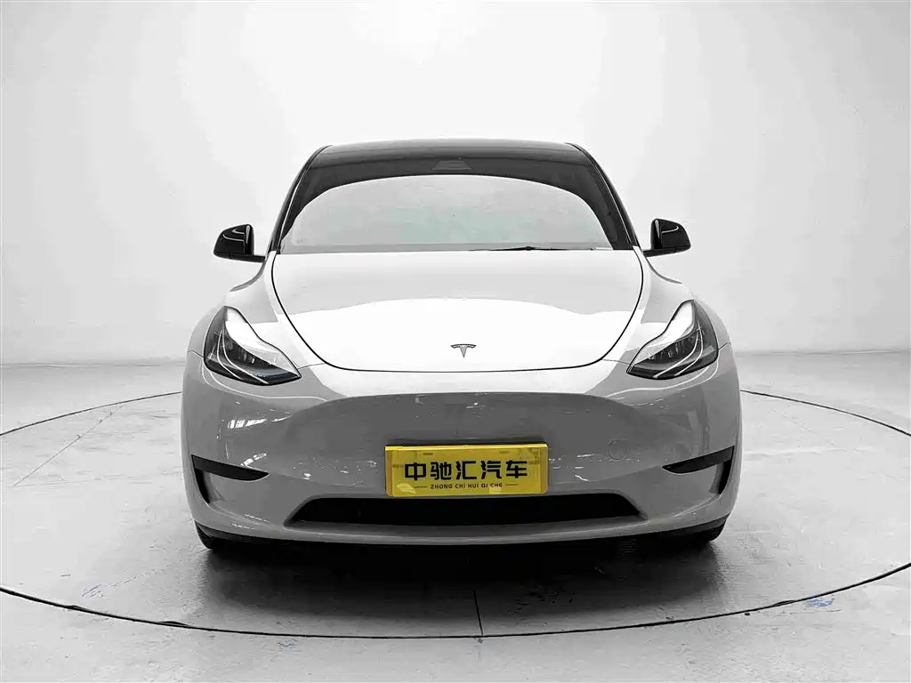 Tesla Model Y — миниатюра 2