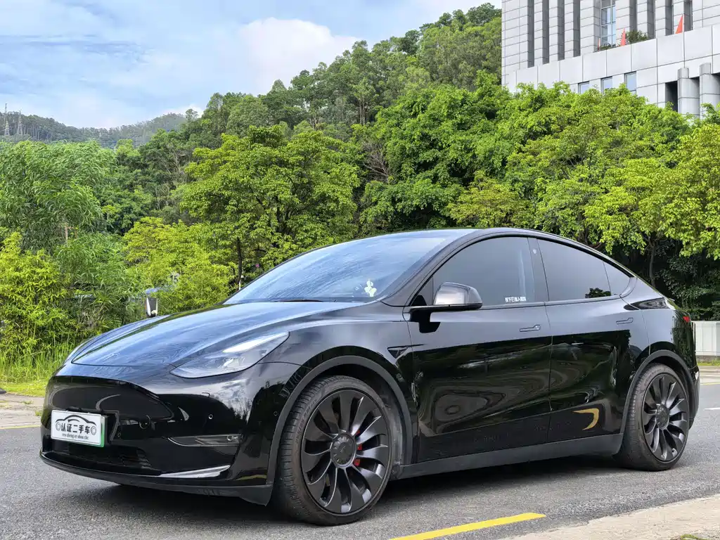 Tesla Model Y 2022 Performance