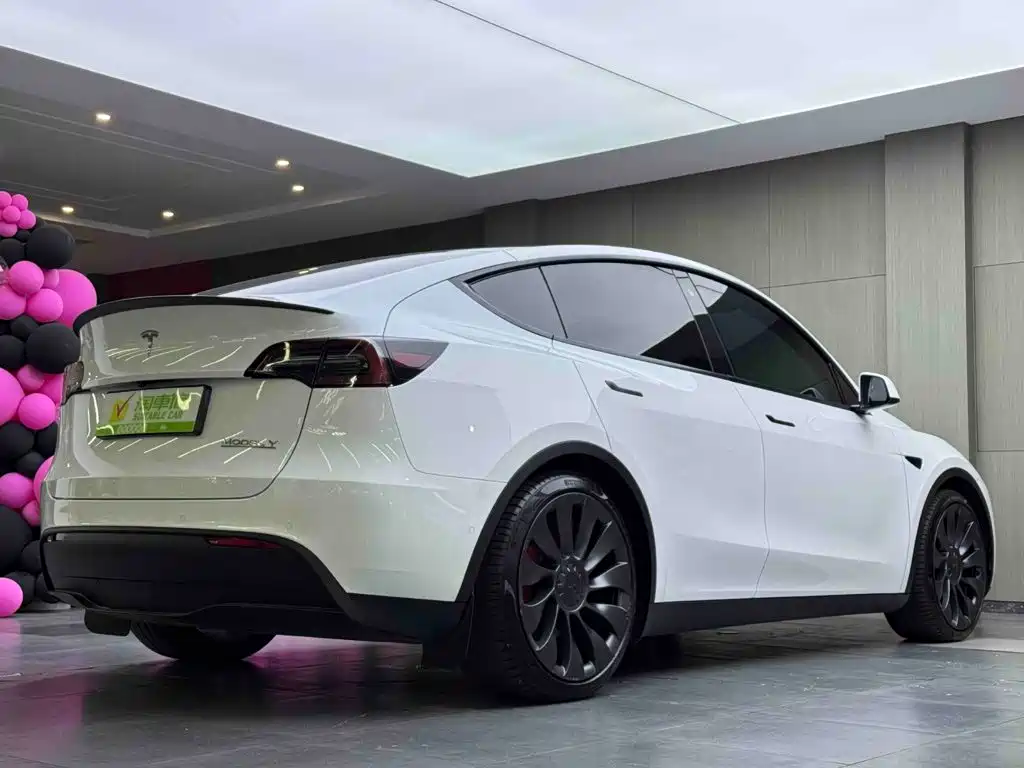 Tesla Model Y — миниатюра 4