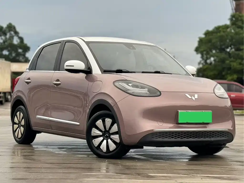 Wuling Binguo 2024 333km Enjoy