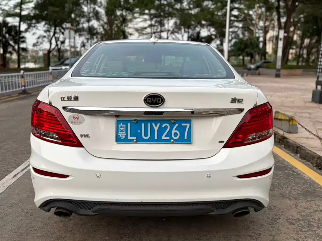 BYD Surui — миниатюра 5