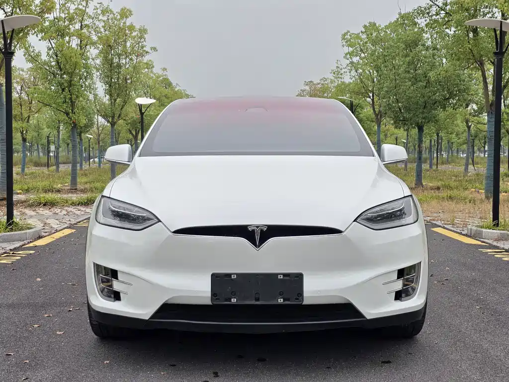 Tesla Model X — миниатюра 2