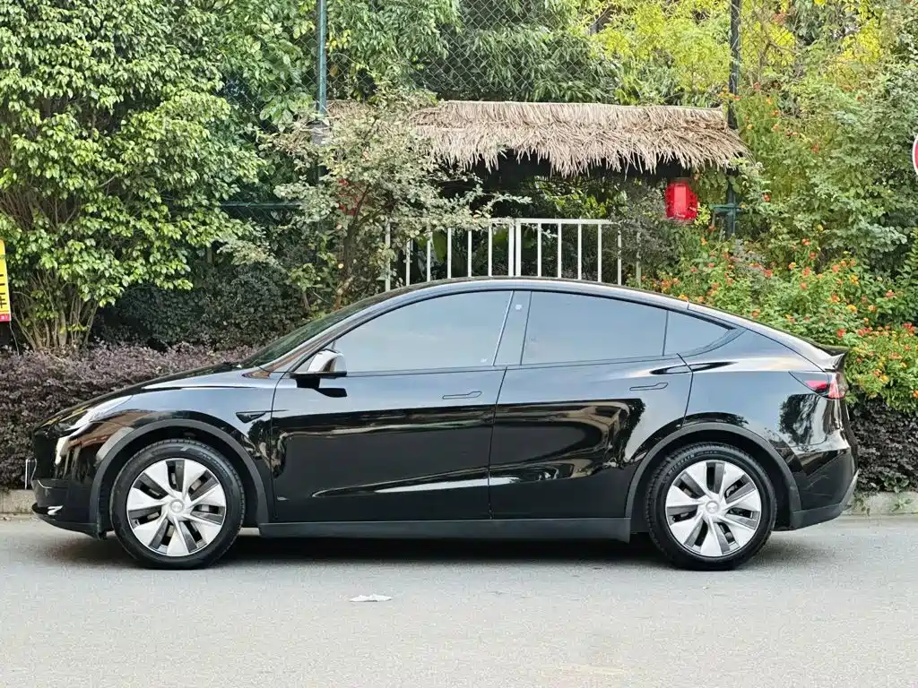 Tesla Model Y — миниатюра 7