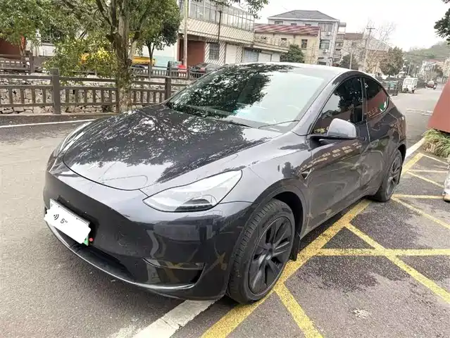 TESLA MODEL Y 2024