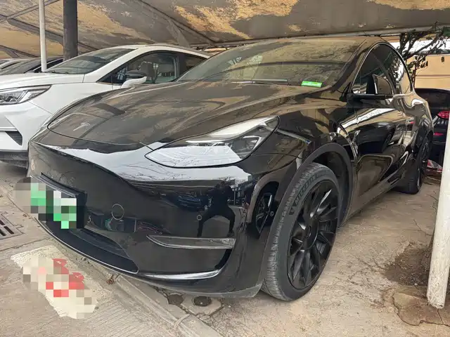 TESLA MODEL Y 2021