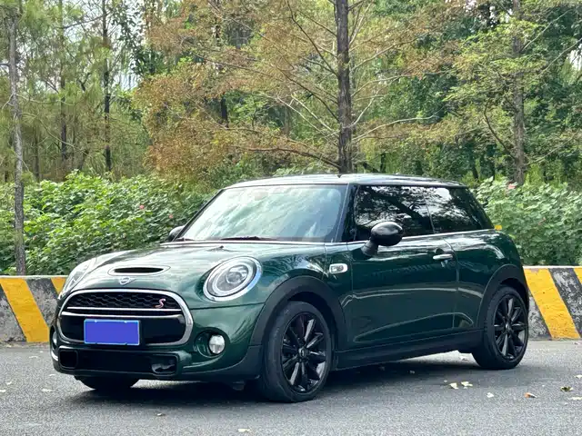 MINI  2019