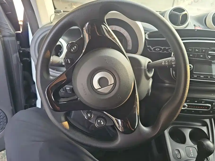 smart Smart Fortwo — миниатюра 15