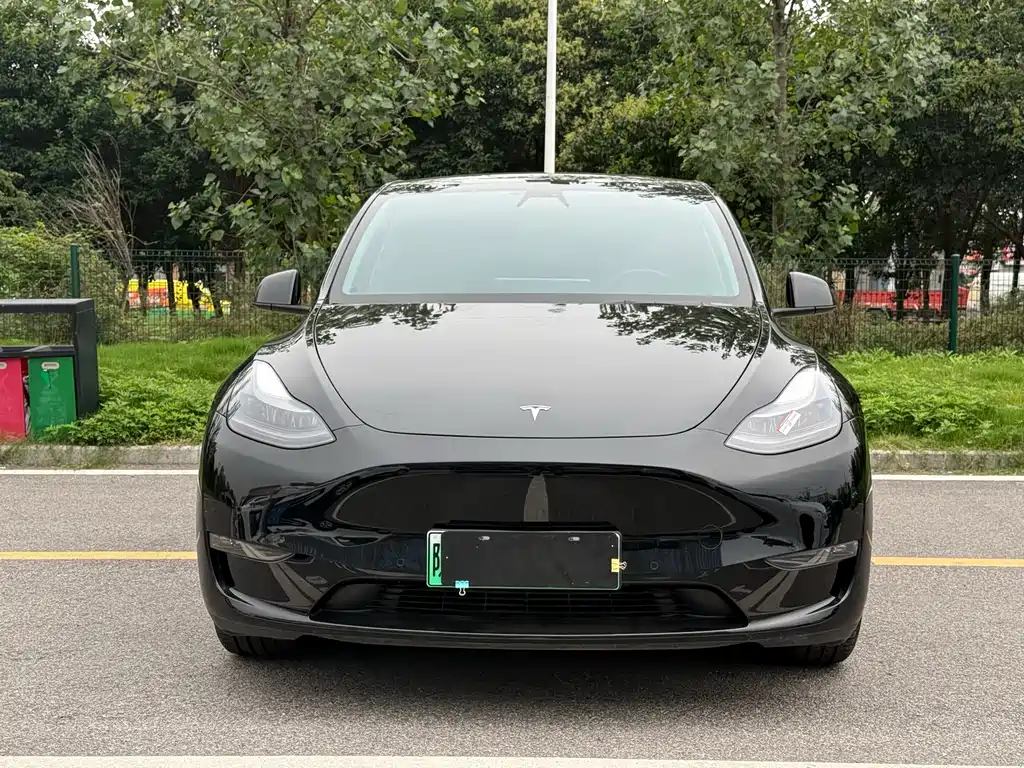 Tesla Model Y — миниатюра 2