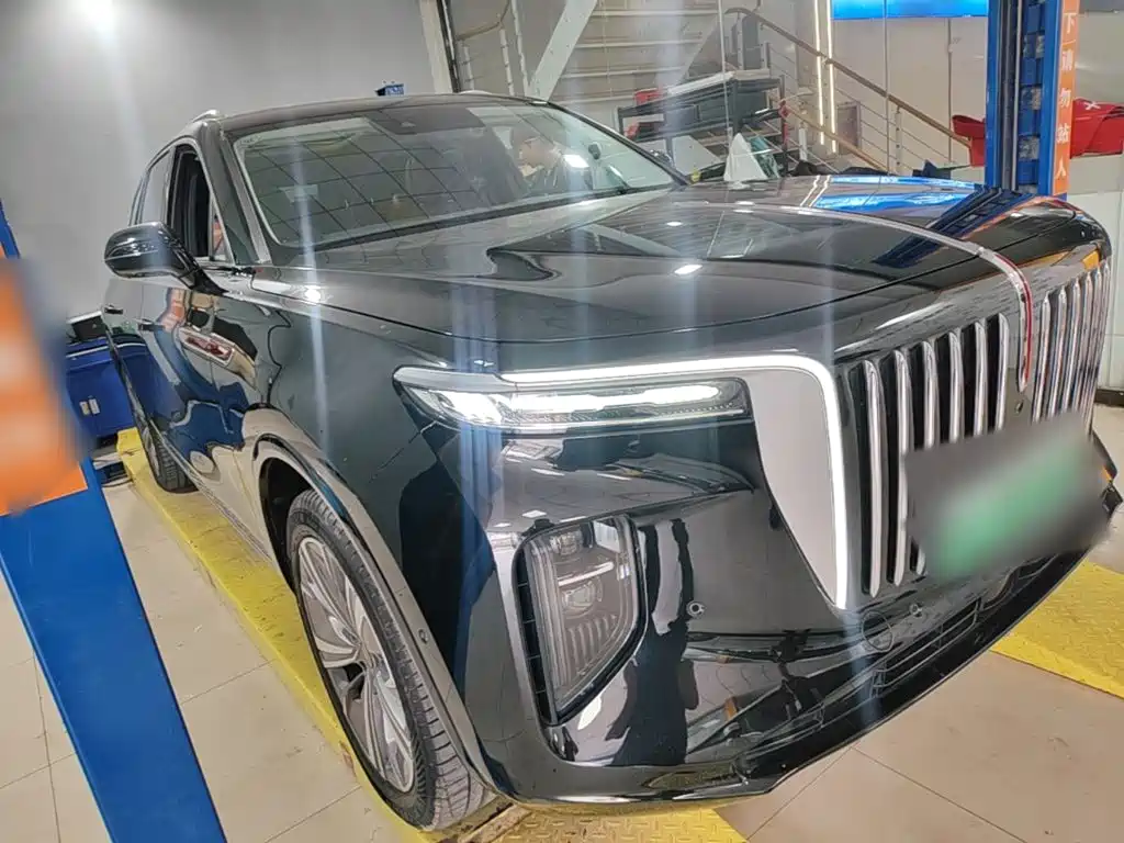 Hongqi Hongqi E-HS9 — миниатюра 4