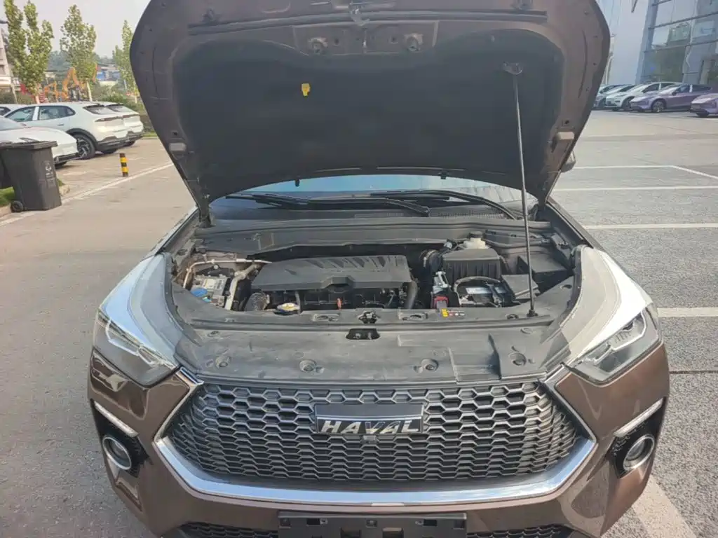 Haval H6 Coupe — миниатюра 20