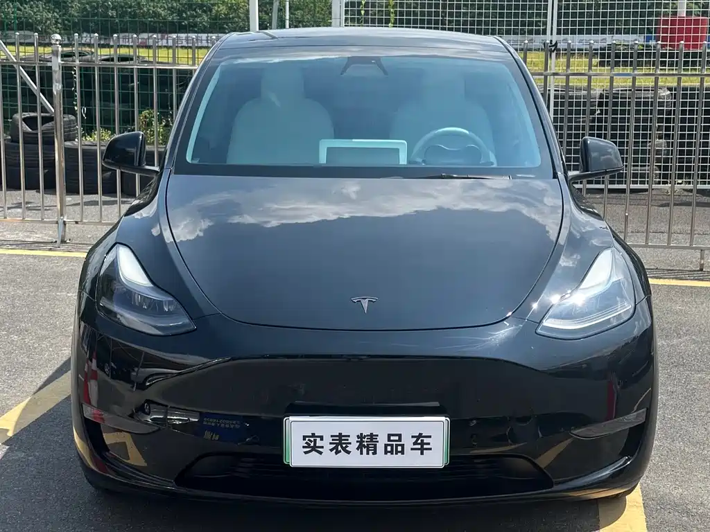 Tesla Model Y — миниатюра 2