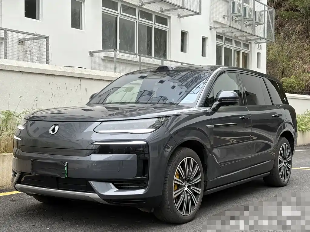 Denza Туннель N9