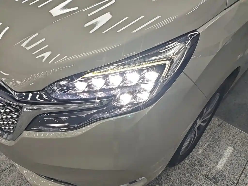 Buick GL8 — миниатюра 24