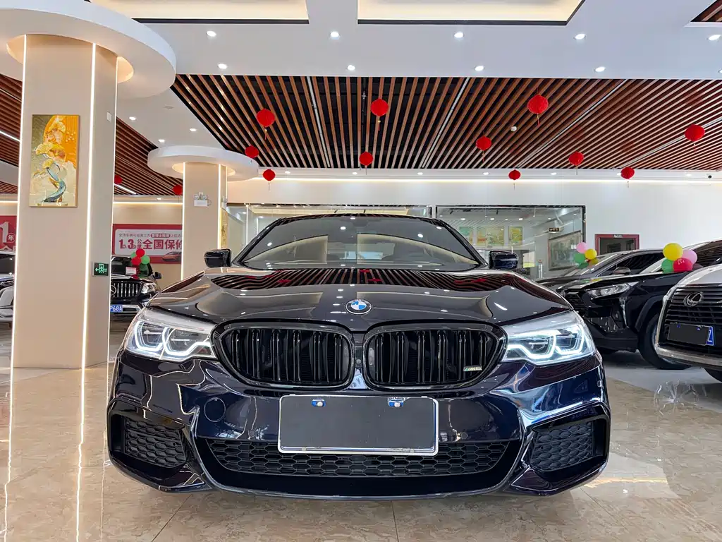 BMW 5 Series 5 2019 530Li Premium M Sport