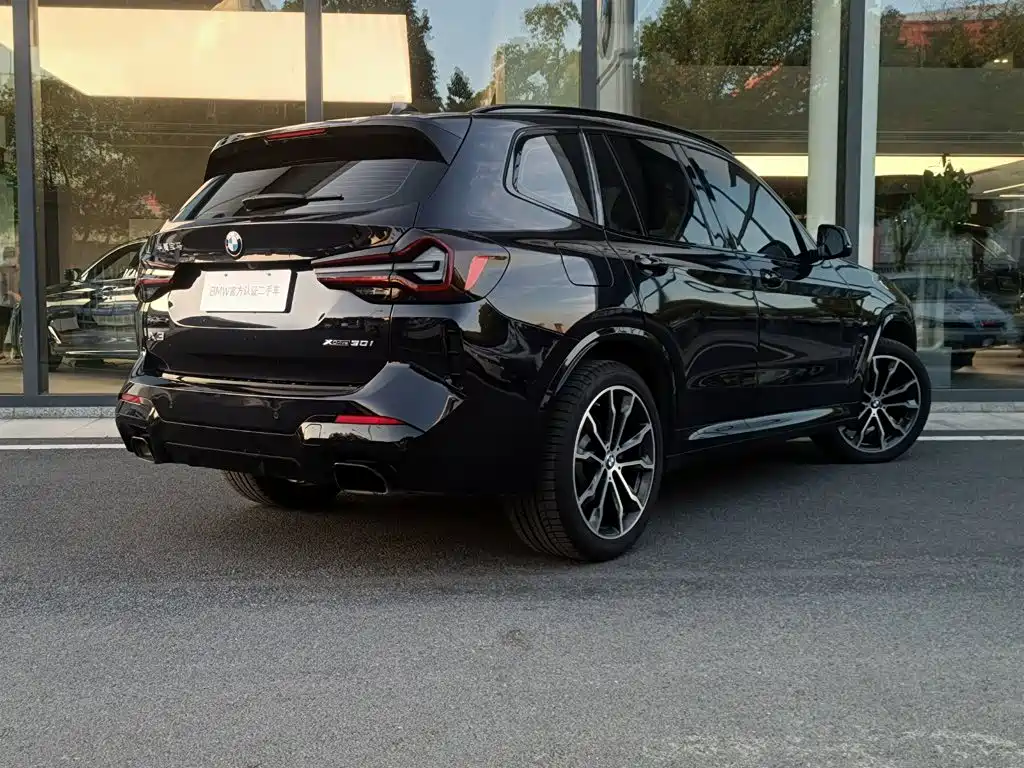 BMW X3 — миниатюра 6