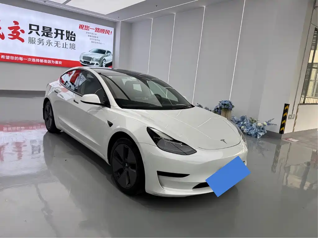 Tesla Model 3 — миниатюра 3