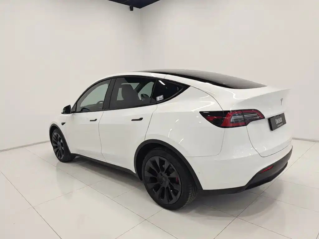Tesla Model Y — миниатюра 26