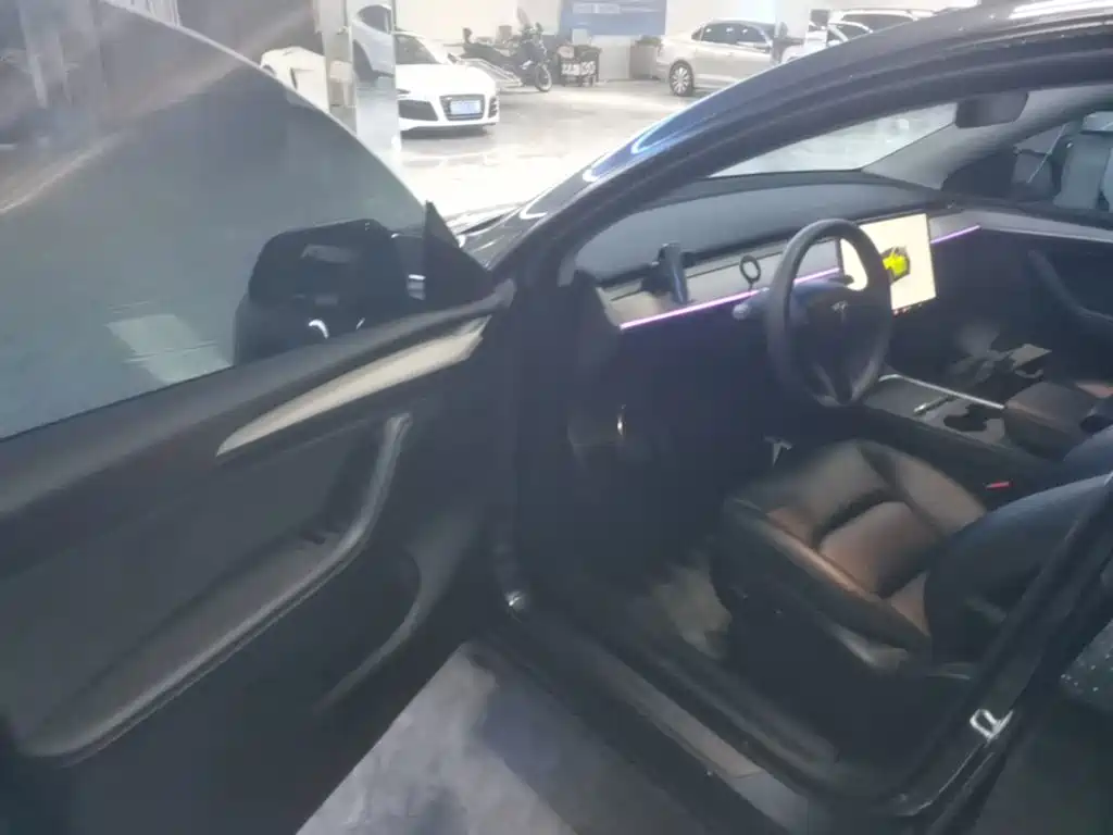 Tesla Model Y — миниатюра 16