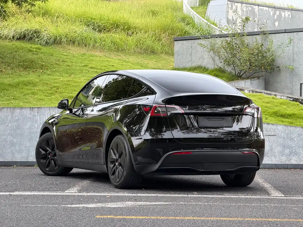 Tesla Model Y — миниатюра 5