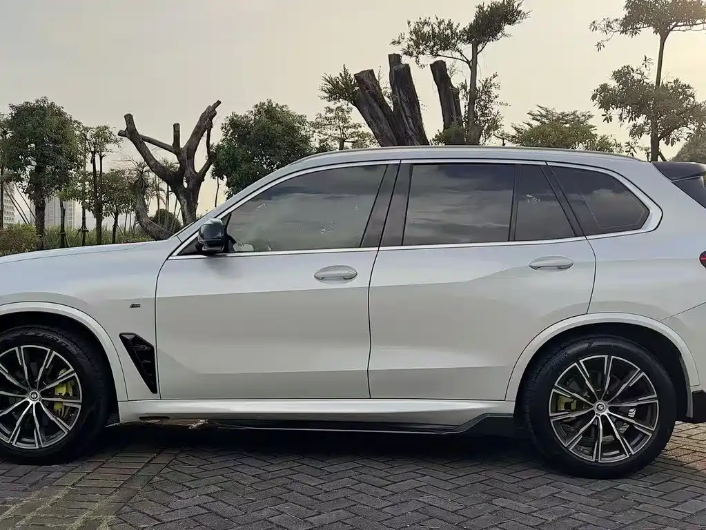 BMW X5 (Import) — миниатюра 4