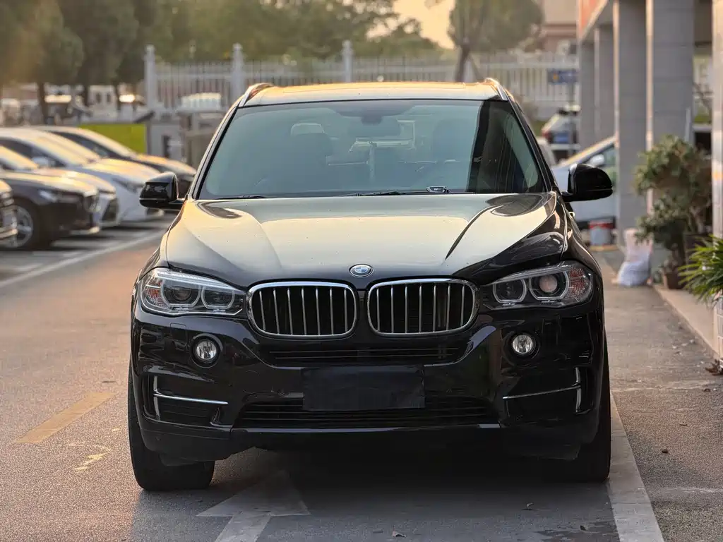BMW X5 (Import) — миниатюра 3