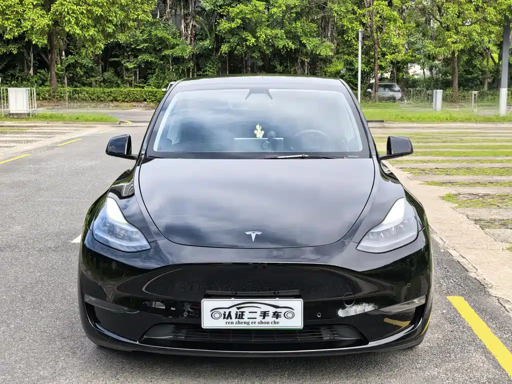 Tesla Model Y 2022 Performance