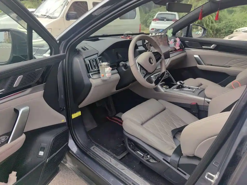 BYD Tang New Energy — миниатюра 12
