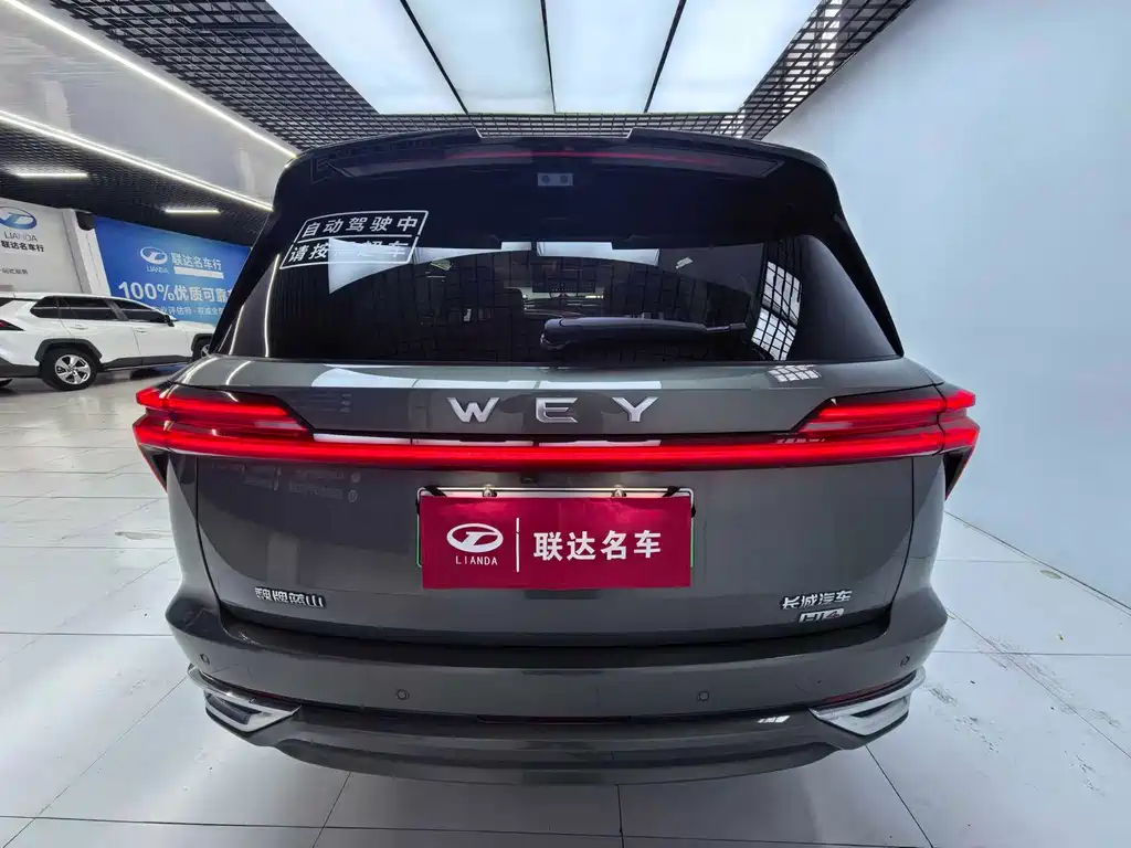 WEI PAI WEI BRAND BLUE MOUNTAIN