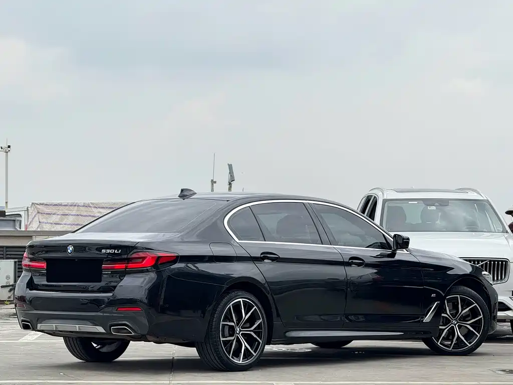 BMW 5 Series — миниатюра 5