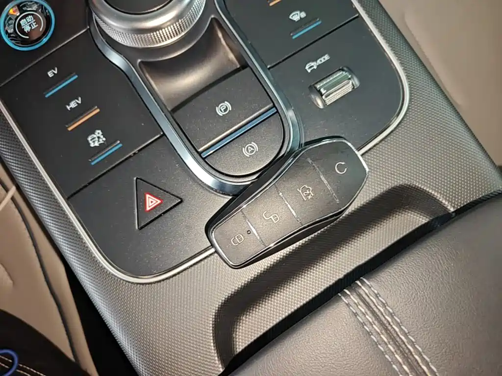 BYD Destroyer 05 2024 DM-i 55KM Luxury