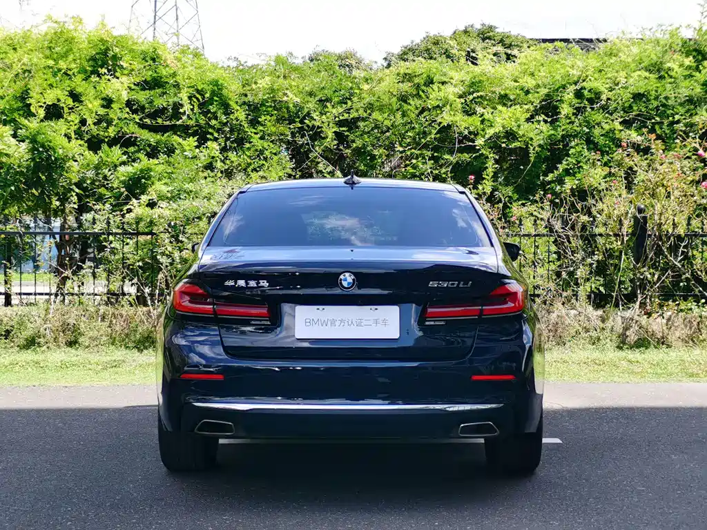 BMW 5 Series 5 2023 530Li Lead Luxury