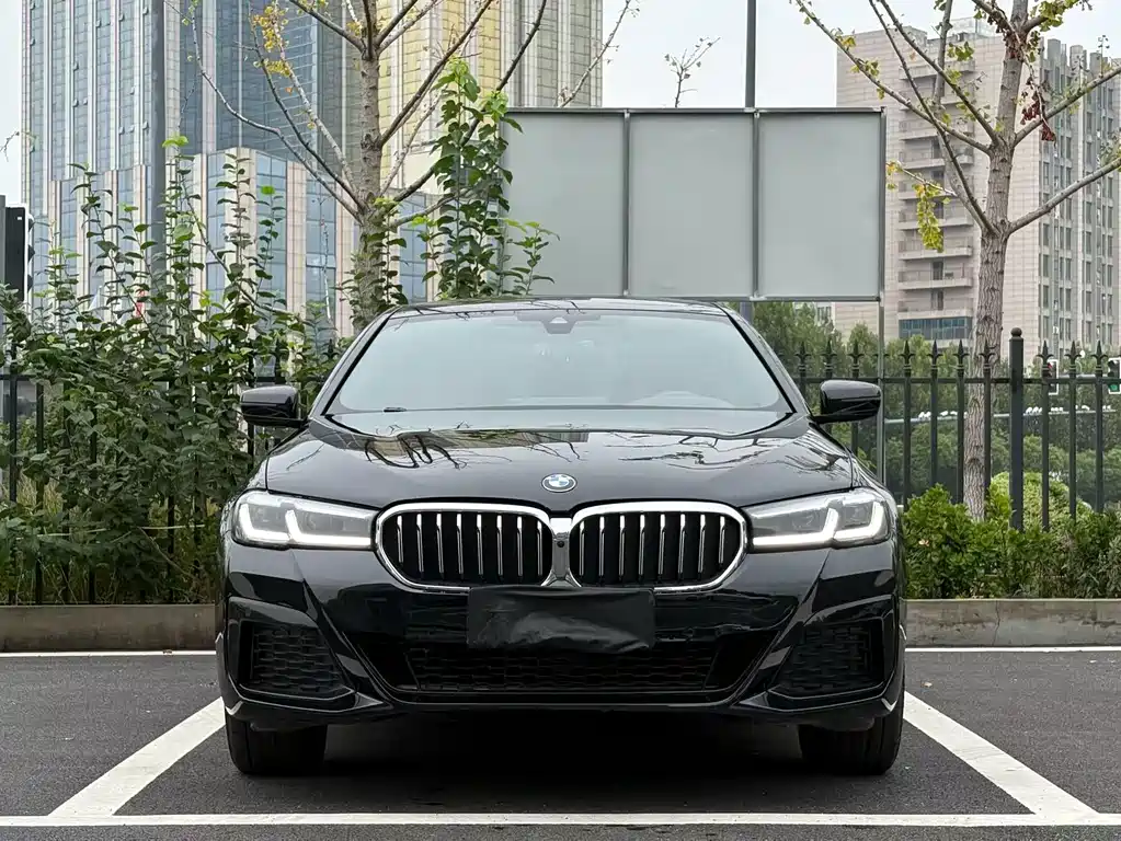 BMW 5 Series — миниатюра 2