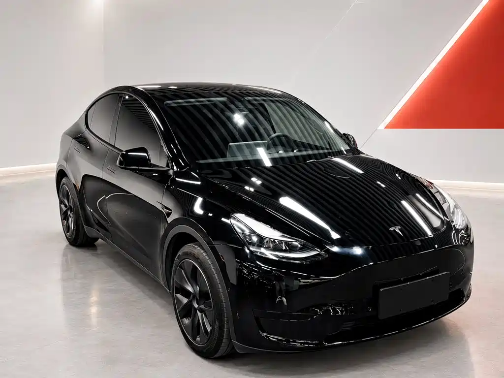 Tesla Model Y — миниатюра 3