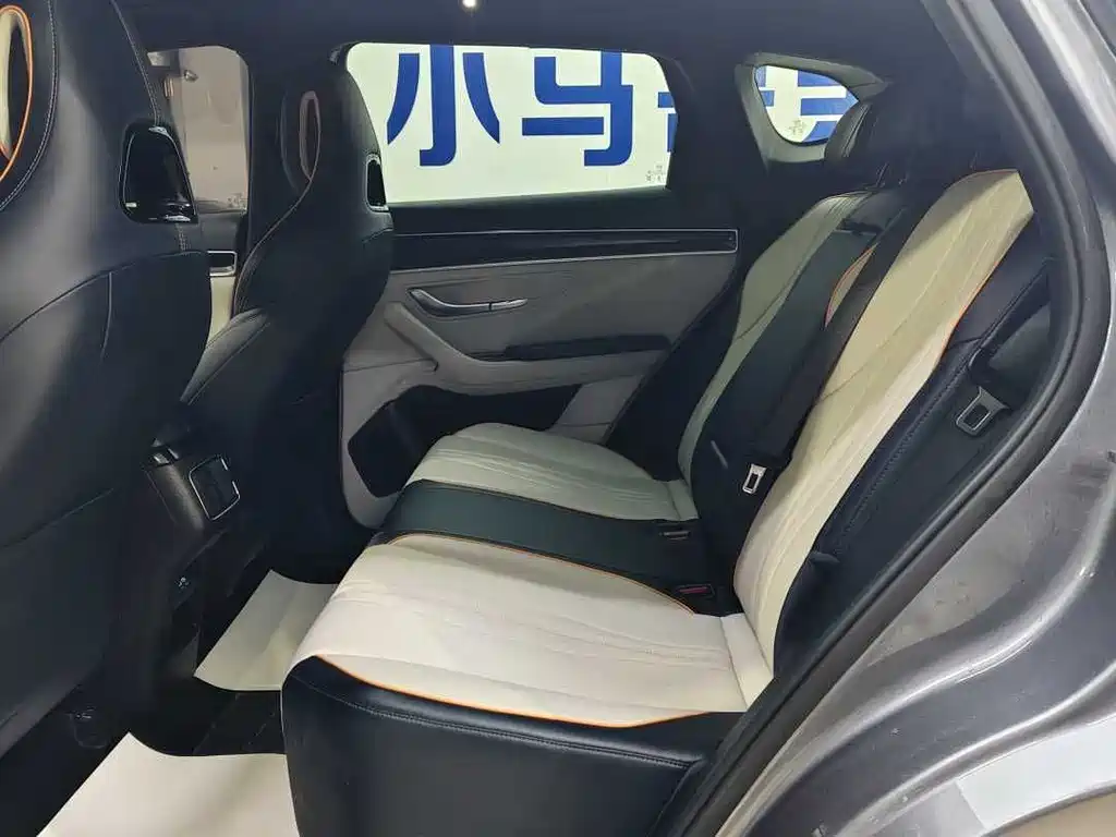 BYD SONGJIANG NEW ENERGY