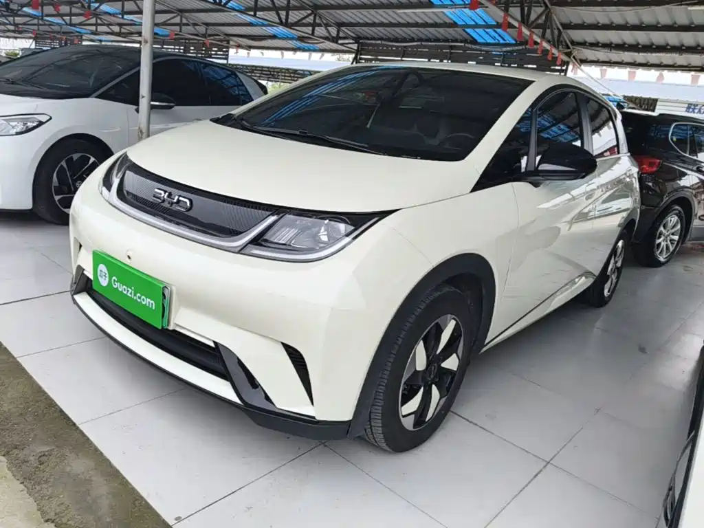 BYD Dolphin — миниатюра 2