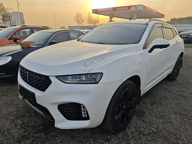 WEI PAI WEI BRAND VV7 2017